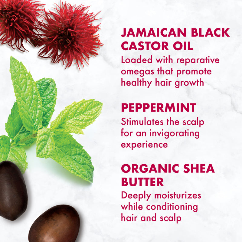 Jamaican Black Castor Oil Strengthen & Restore Shampoo - Moisturizes Scalp and Softens Thick, Curly Hair- Sulfate-Free with Natural & Organic Ingredients (13 oz)